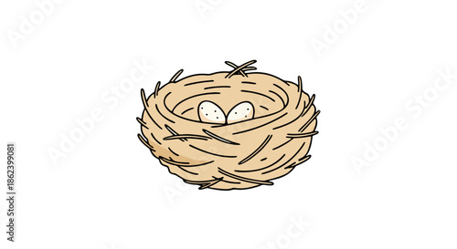 A bird's nest illustration with eggs in a simple, hand-drawn style against a white background
