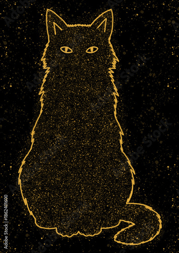 cat on a black background