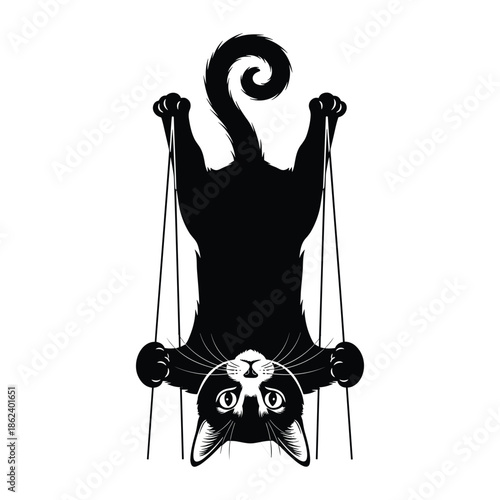 Black cat hanging upside down with curled tail upside-down