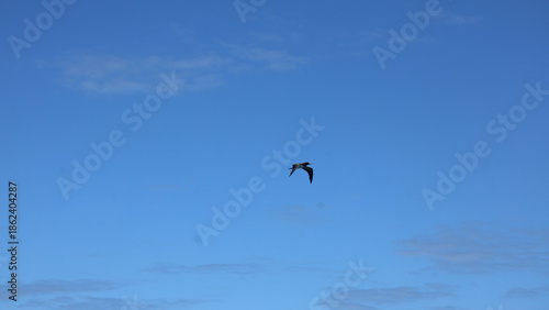 Ilha reserva natural