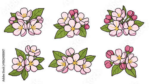 Set of six apple blossom flower clusters with pink buds and green leaves