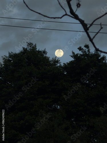 La luna llena en la ciudad