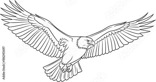 Bald eagle vector illustration flying with open wings, majestic bird of prey line art, american national symbol for patriotic design and wildlife, isolated.