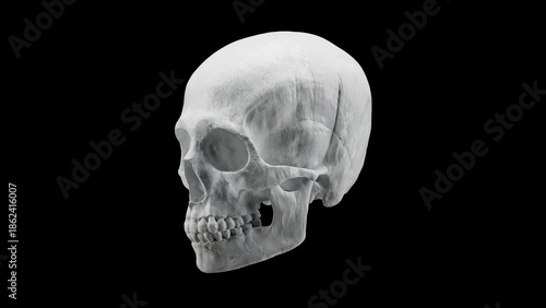 Realistic human skull isolated on black background, high resolution natural white bone skeleton 3D illustration.