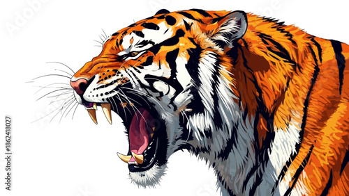 Angry tiger roaring with open mouth.