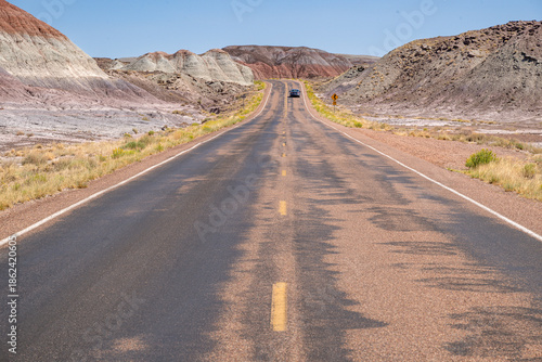 Petrified Forest National Park 