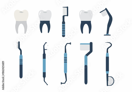 Vector Set of Essential Dental Hygiene and Treatment Tools with Healthy Teeth Icons