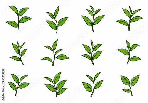 Cartoon Green Tea Leaves and Plant Shoots Collection - Vector Illustrations of Fresh Botanical Elements.
