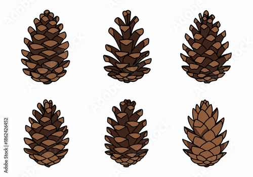 Set of six hand-drawn pine cone illustrations, featuring various brown evergreen tree seed cones, perfect for nature-themed designs and winter holiday decorations.