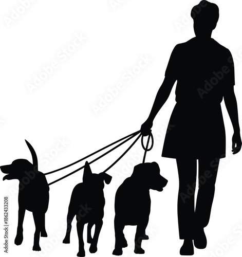 Man walking dogs silhouette, dog walker with leashes, pet care concept, animal companionship, outdoor activity, isolated on white, background illustration