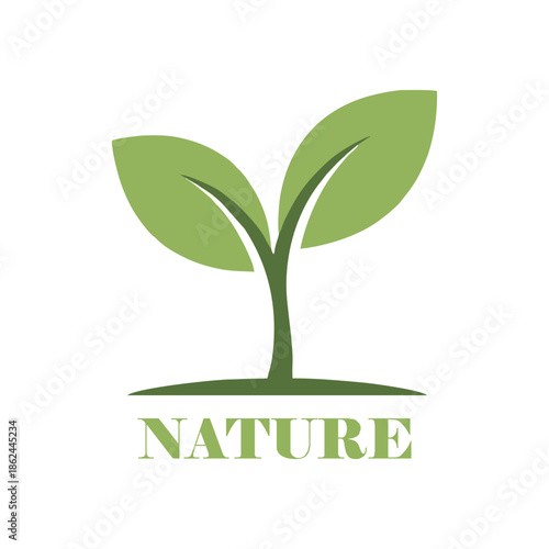 Green plant sapling growing representing nature and ecological sustainability