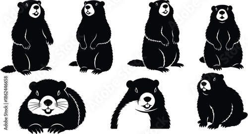 Collection of seven black and white panda bear illustrations