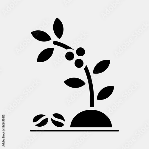 Icon coffee tree. Coffee shop elements. Icon in glyph style.
