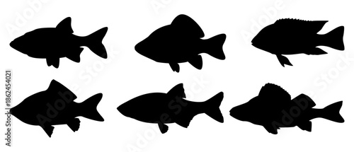 A versatile vector set featuring six distinct fish silhouettes, perfect for fishing industry logos, seafood menus, or wildlife conservation graphics and educational materials.