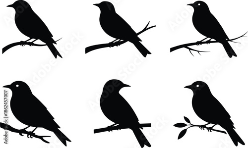 Minimalist black bird perched on a branch silhouette vector icon