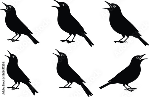Collection of Minimalist black bird singing with open beak silhouette vector icon