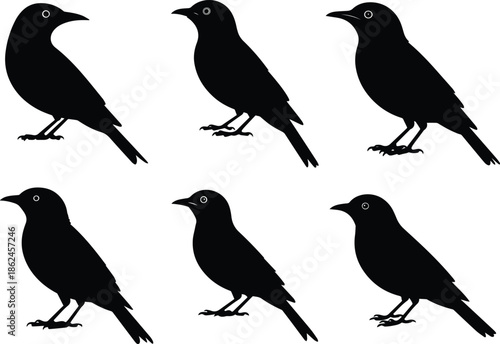 Set of Minimalist black bird perched and looking sideways alert silhouette vector icon