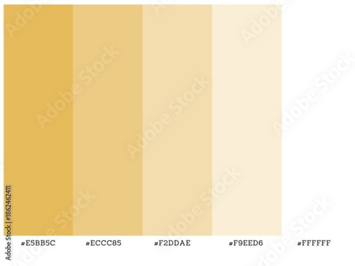 Trendy gradient palette for interior decor fashion branding and web design