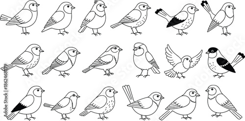 Set of 18 Unique Cartoon Bird Icons Featuring Stylized Wings, Tails, Beaks, and Markings in Black and White