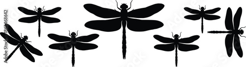 WebDragonfly silhouette set illustration featuring multiple flying insect poses, black and white nature vector art for decorative design projects