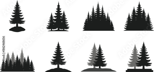 Black pine tree silhouettes set with coniferous forest elements and evergreen spruce icons isolated on white background for nature landscape design