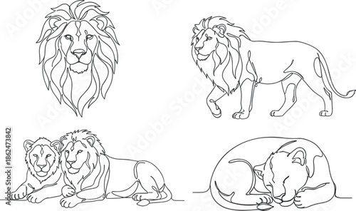 Lion illustrations in various poses