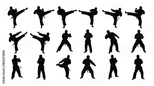 Silhouettes depicting various dynamic martial arts poses and fighting stances