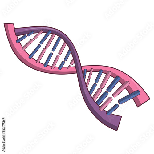 A colorful cartoon illustration of a twisted double helix structure