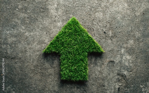 Green arrow of grass on dark stone