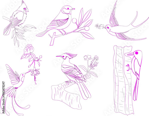 Birds species icons black white handdrawn sketch