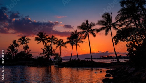 Silhouetted palm trees at sunset over tranquil water