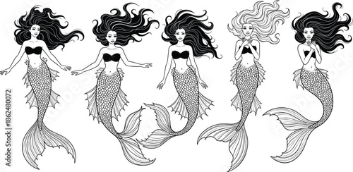 Stylized mermaid vector illustration with flowing hair, decorative tails, fantasy sea creatures, black and white line art for stock content
