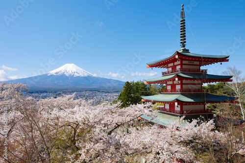 Tableau sur toile Fuji mountain view from Chureito Pagoda with cherry blossom in spring season