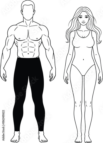 Male and female body outline illustration, anatomical reference figures, fitness proportion guide, front view human silhouettes for design, drawing, education, anatomy