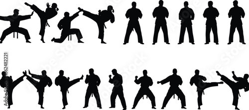Martial arts silhouettes of karate practitioners performing kicks, strikes, and defensive stances, dynamic combat poses ideal for training, sports design, illustrations