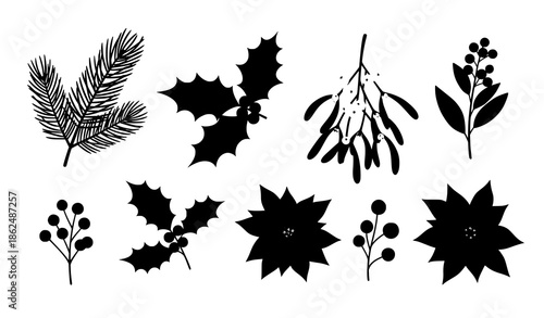 Winter holiday botanical elements vector illustration set isolated on white background