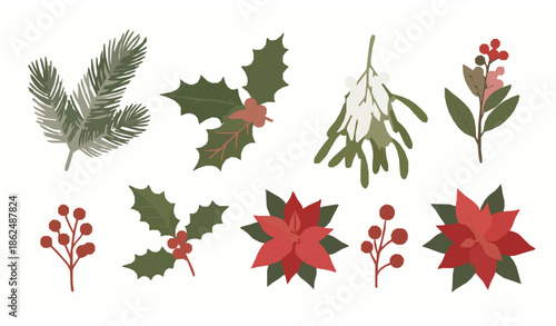 Winter holiday botanical elements vector illustration set isolated on white background