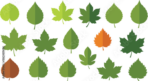 Set of colorful leaf silhouettes in green and autumn shades representing nature, seasons, environment, and eco-friendly botanical vector design.