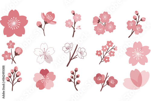 Diverse Vector Set of Delicate Pink Sakura and Cherry Blossom Flowers, Ideal for Springtime Graphics, Floral Motifs, and Asian-Inspired Aesthetic Designs