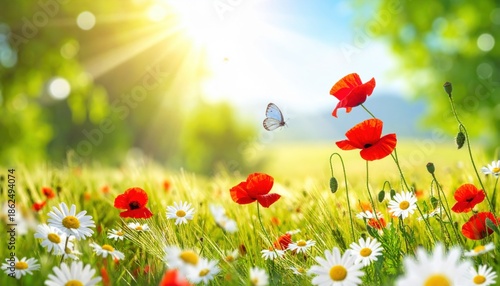 Generated imageSpring - Sunny Field With Poppies And Daisies Flowers On Grass With Abstract Defocused Landscape.