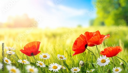 Generated imageSpring - Sunny Field With Poppies And Daisies Flowers On Grass With Abstract Defocused Landscape
