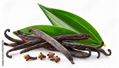 Vanilla Green Leaves And Dried Pods On Tranparent Background