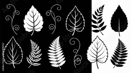 Collection of Hand Drawn Leaf Silhouettes and Swirls.