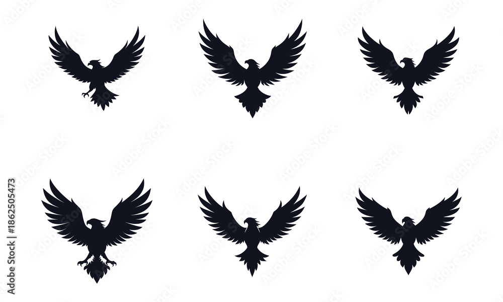 Obraz premium Vector Silhouette Set of Majestic Eagles and Hawks Flying with Spread Wings.