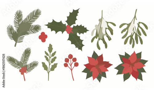 Christmas botanical winter plant vector set with pine holly mistletoe poinsettia and berries