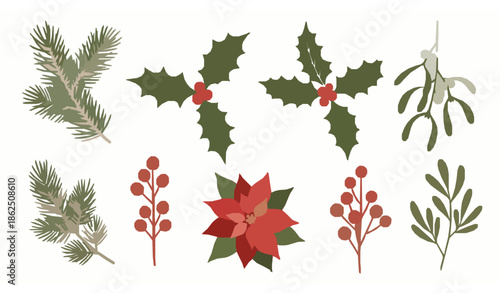 Hand drawn Christmas winter botanical decoration elements pine holly mistletoe and berries