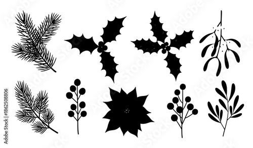 Hand drawn Christmas winter botanical decoration elements pine holly mistletoe and berries