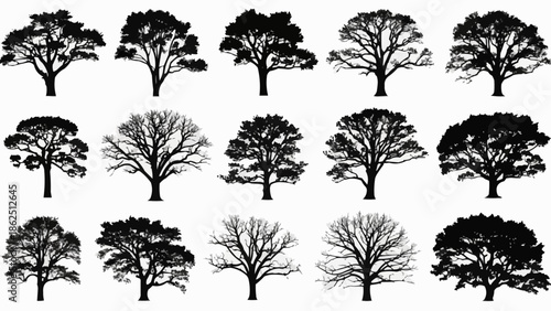 Collection of Silhouetted Trees in Various Shapes and Sizes.