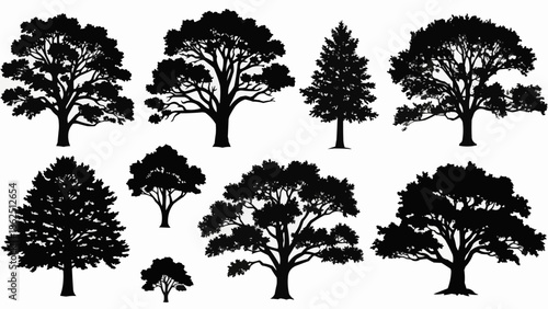 Collection of Silhouetted Trees in Various Shapes and Sizes.
