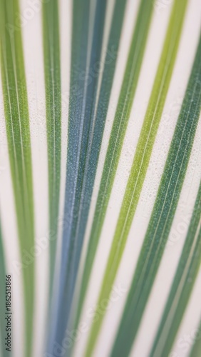 Vibrant Green Palm Frond Closeup.